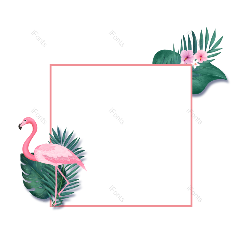 边框图片,小清新元素,热带植物PNG,免抠素材